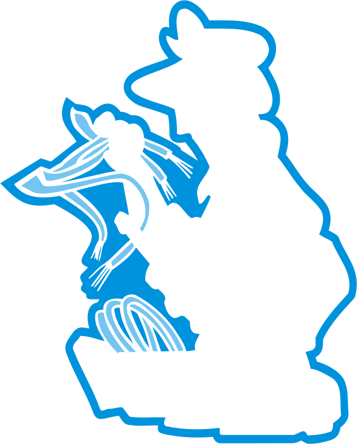 mr-link-image